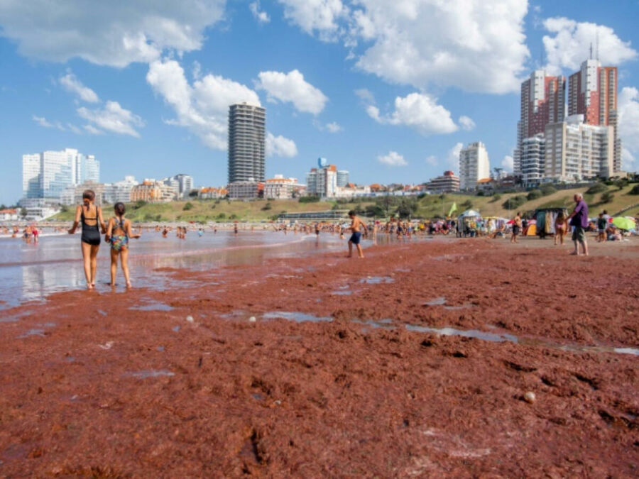 Imagem fenomero-praia